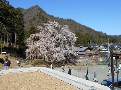 DSCN6342.jpg