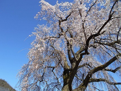 DSCN6345.jpg