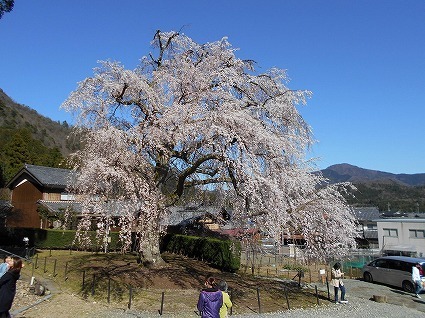 DSCN6346.jpg