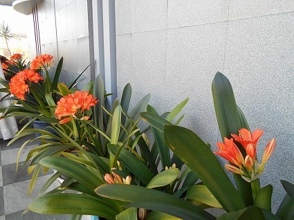 DSCN6354.jpg