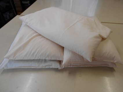 DSCN6389.jpg
