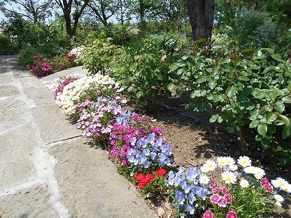 DSCN6399.jpg