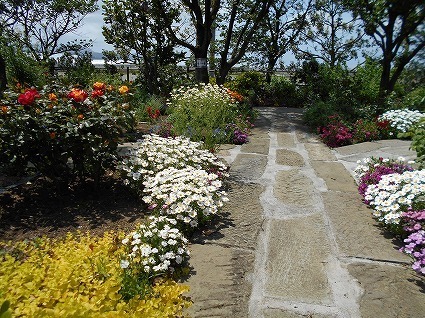 DSCN6400.jpg