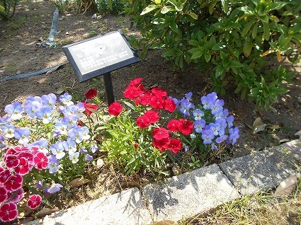 DSCN6402.jpg
