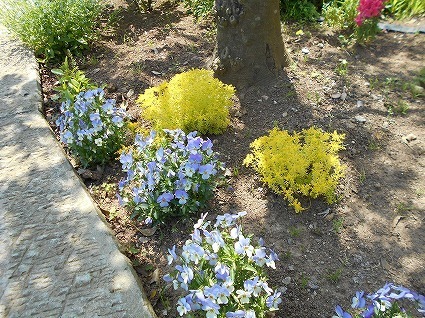 DSCN6403.jpg
