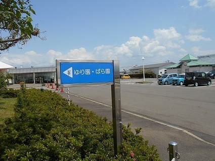 DSCN6404.jpg