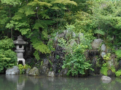 DSCN6433.jpg