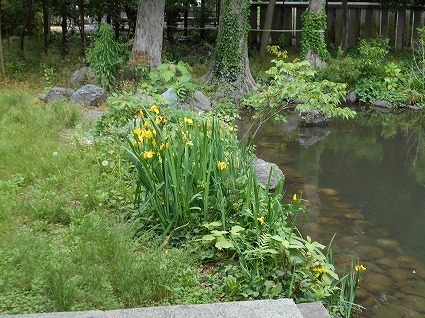 DSCN6434.jpg