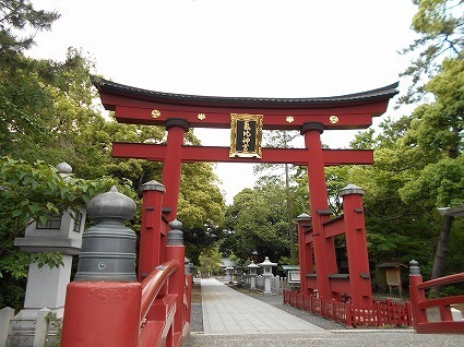 DSCN6436.jpg