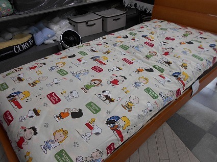 DSCN6483.jpg