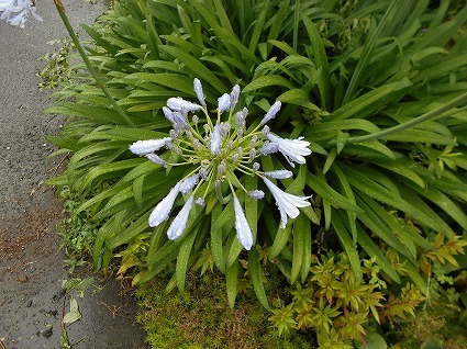 DSCN6498.jpg