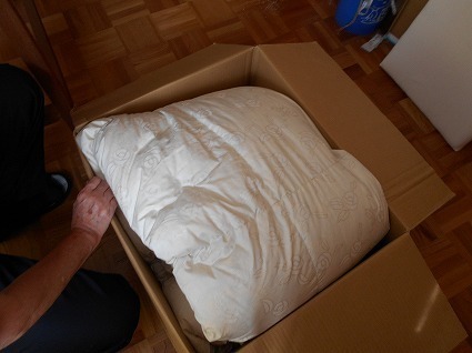 DSCN6580.jpg