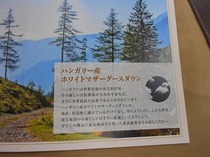DSCN6640.jpg