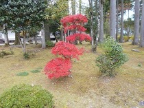 DSCN6658.jpg