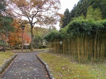 DSCN6659.jpg