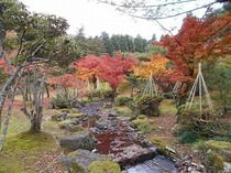 DSCN6660.jpg