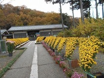 DSCN6661.jpg