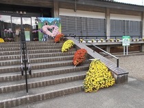 DSCN6662.jpg
