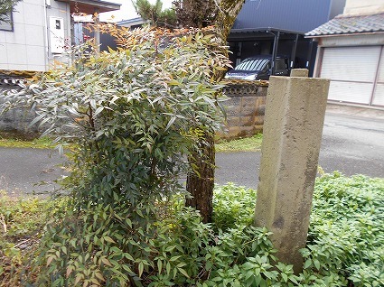 DSCN6672.jpg