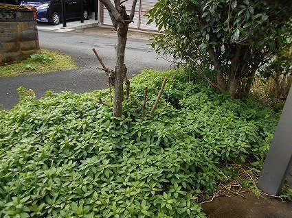 DSCN6673.jpg