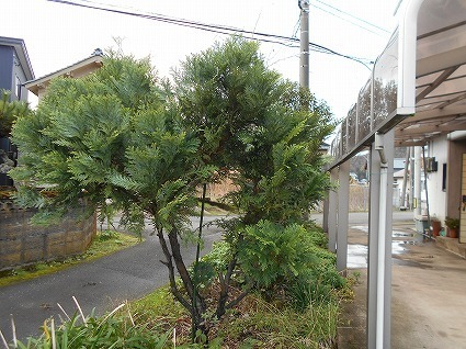 DSCN6674.jpg