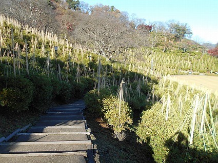DSCN6685.jpg