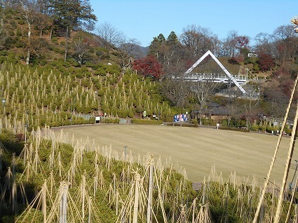 DSCN6688.jpg