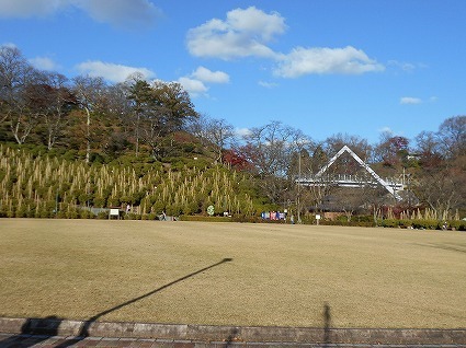 DSCN6701.jpg