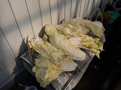 DSCN6706.jpg