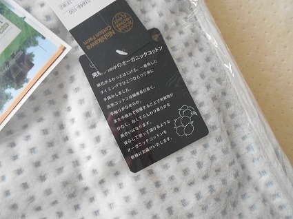 DSCN6720.jpg