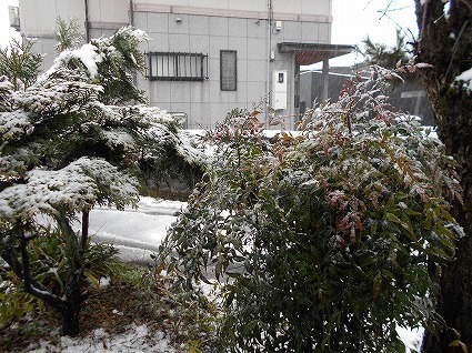 DSCN6724.jpg
