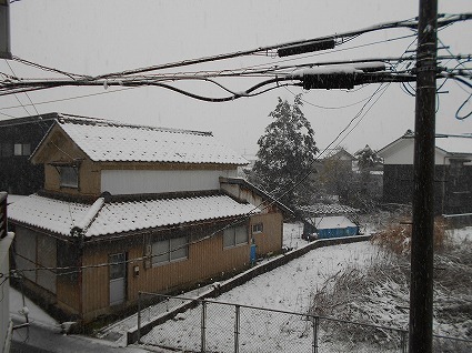 DSCN6725.jpg