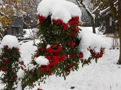 DSCN6727.jpg