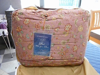 DSCN6742.jpg
