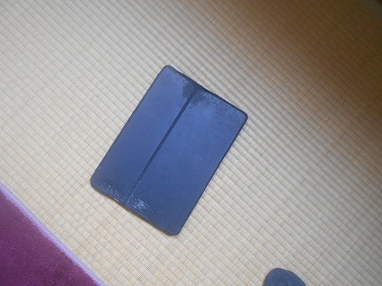 DSCN6755.jpg