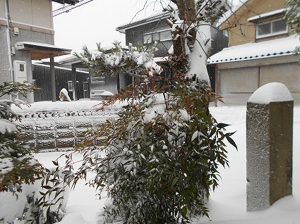 DSCN6761.jpg
