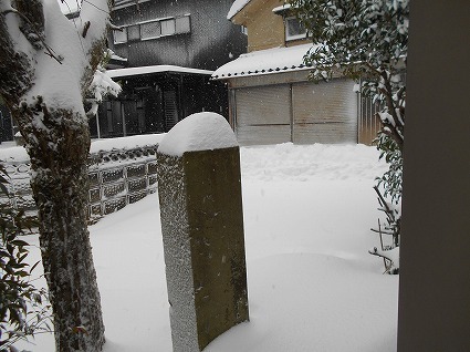 DSCN6764.jpg