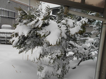 DSCN6765.jpg