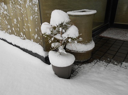 DSCN6768.jpg