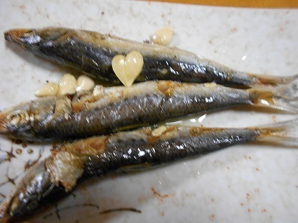 DSCN6791.jpg