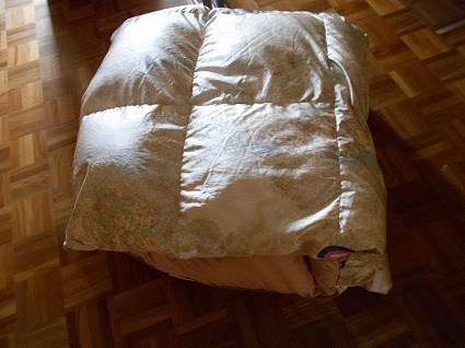 DSCN6800.jpg