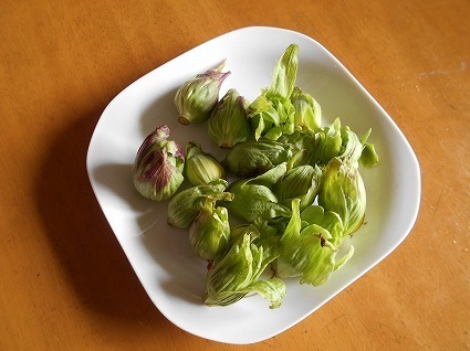 DSCN6826.jpg