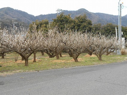 DSCN6842.jpg