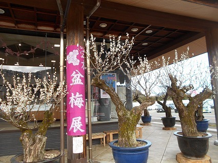 DSCN6843.jpg