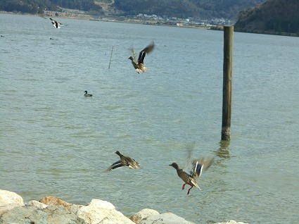 DSCN6846.jpg