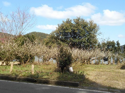 DSCN6851.jpg