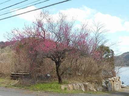 DSCN6852.jpg