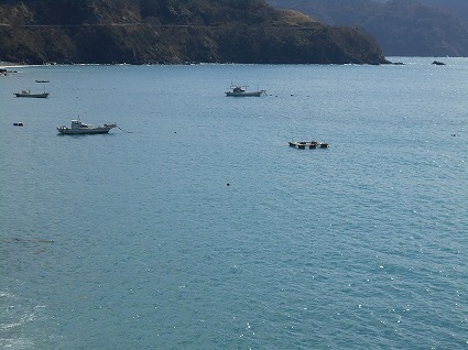 DSCN6856.jpg