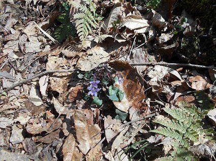 DSCN6873.jpg