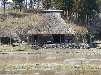 DSCN6877.jpg
